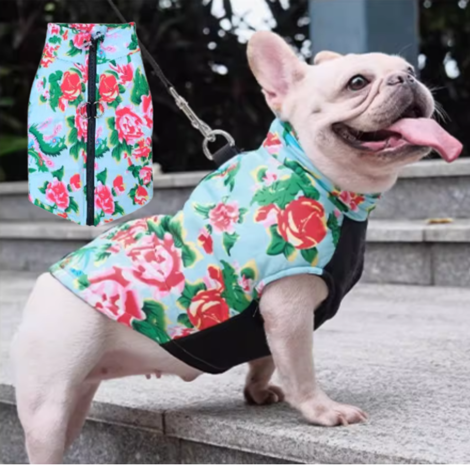 - Comfortable Premium Frenchie Jacket Outdoor Use | Non-slip Design