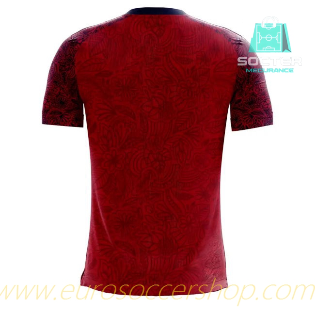 Replica 2025-26 Collection Norway Home Concept (ODEGAARD 10)