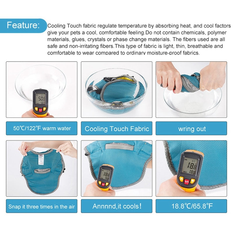 Coolify™ : Cooling Vest for Frenchie (CS13)