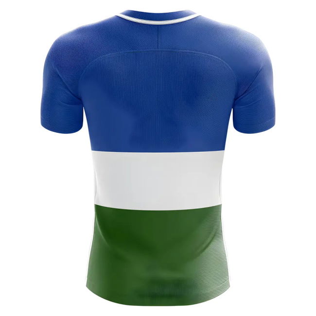 2025-2026 Bashkortostan Home Concept Football Shirt Quality