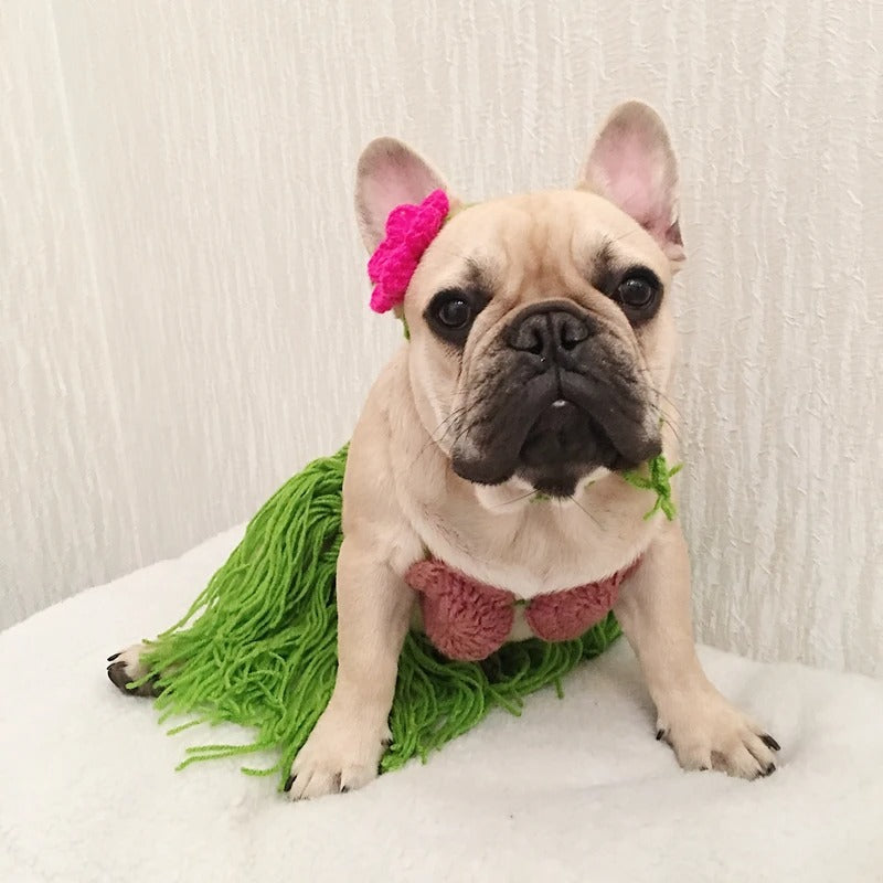 LeiPup Frenchie Hawaiian Bikini Costume – Summer Grass Skirt Outfit with Flower Headband