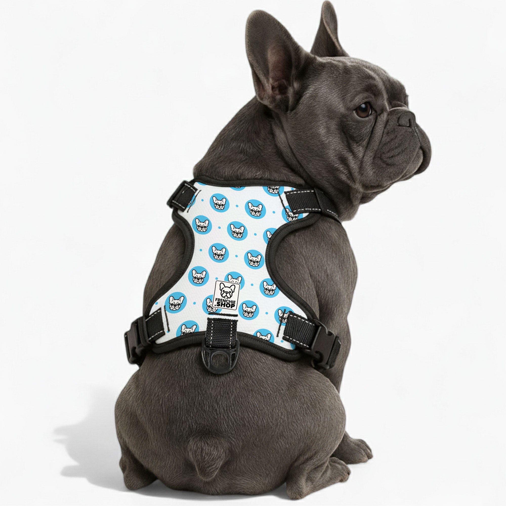 Lionel - No-Pull French Bulldog Dog Harness