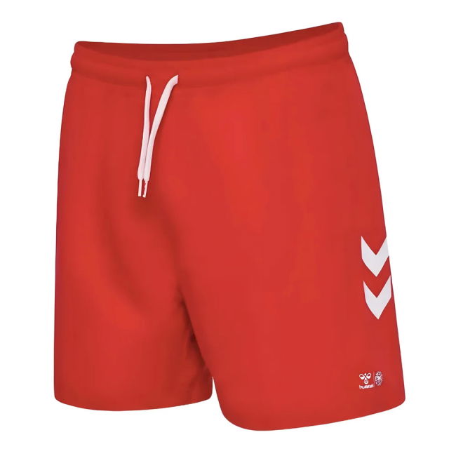 Game Replica Denmark Shorts Supporter Kit (Adults) (1)