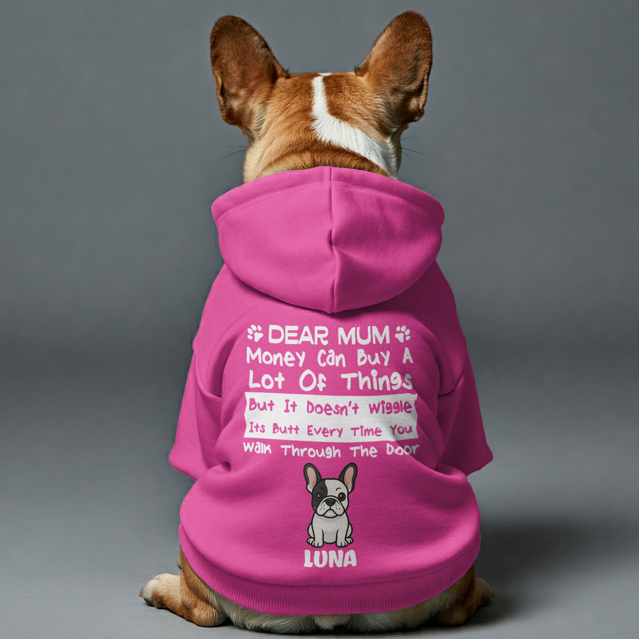 Cozy Money Can Buy - Personalized French Bulldog Hoodies With Funny Q...