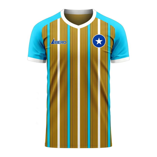Somalia 2025-2026 Home Concept Football Kit (Libero)