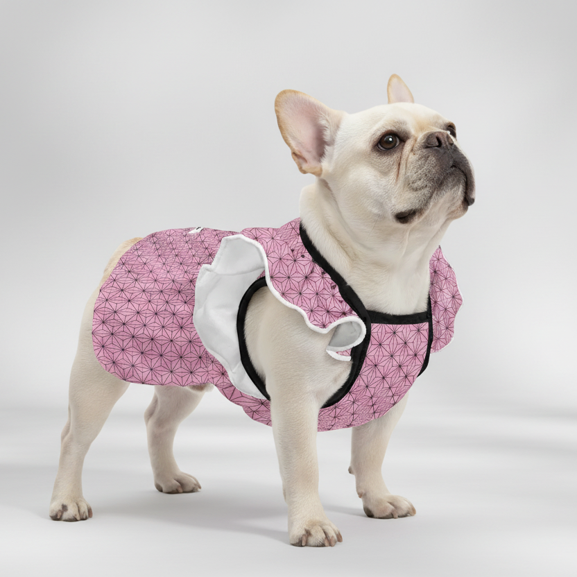 - Frenchie French Bulldog Dresses For Females Indoor Use | Comfort Fit