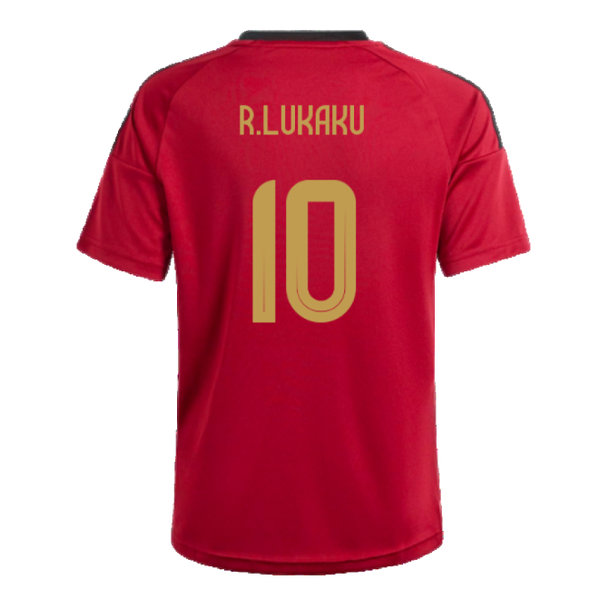 Kids Lukaku 10 Professional Style Belgium Home Pro Shirt 2024-2025