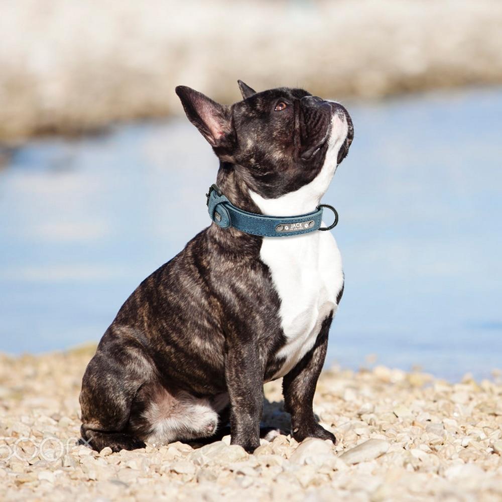 Secure-Fit Personalized French Bulldog Collar for Outdoor Use