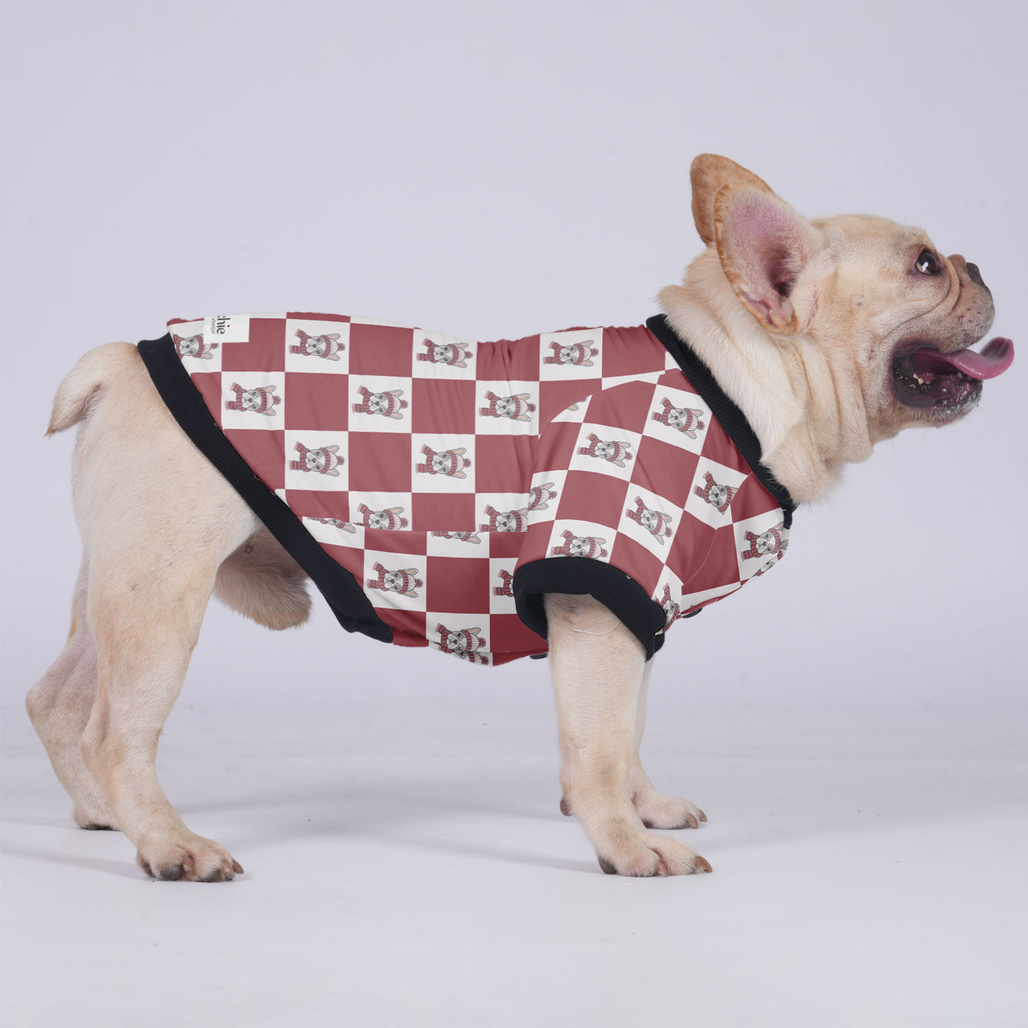 Winston - Premium Jacket For French Bulldog For Frenchie Pups