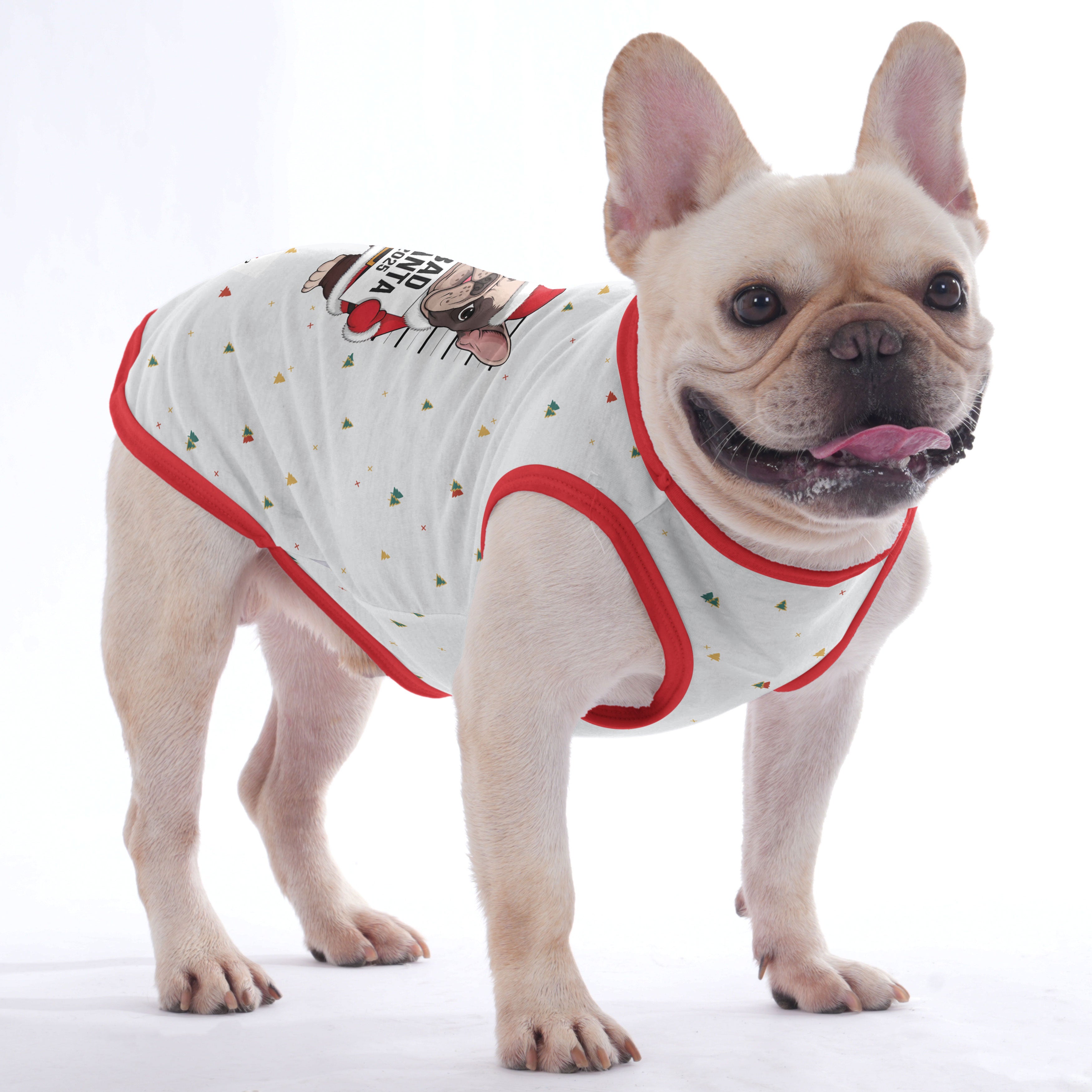 Frenchie-Fan Dumpling - Shirt For Frenchies - Frenchie Shop Original ...