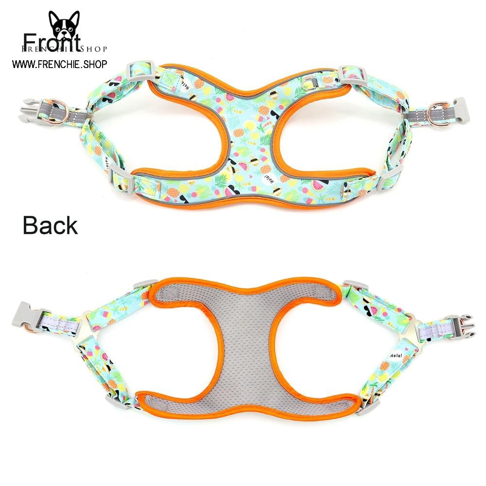 Pressure-Balanced Fruit Harness For French Bulldog (w321) for Outdoor