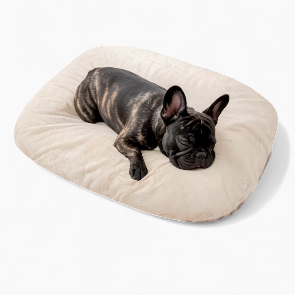 Nappyla Warm Nest Sofa for French Bulldogs – Soft Snuggly and Secure