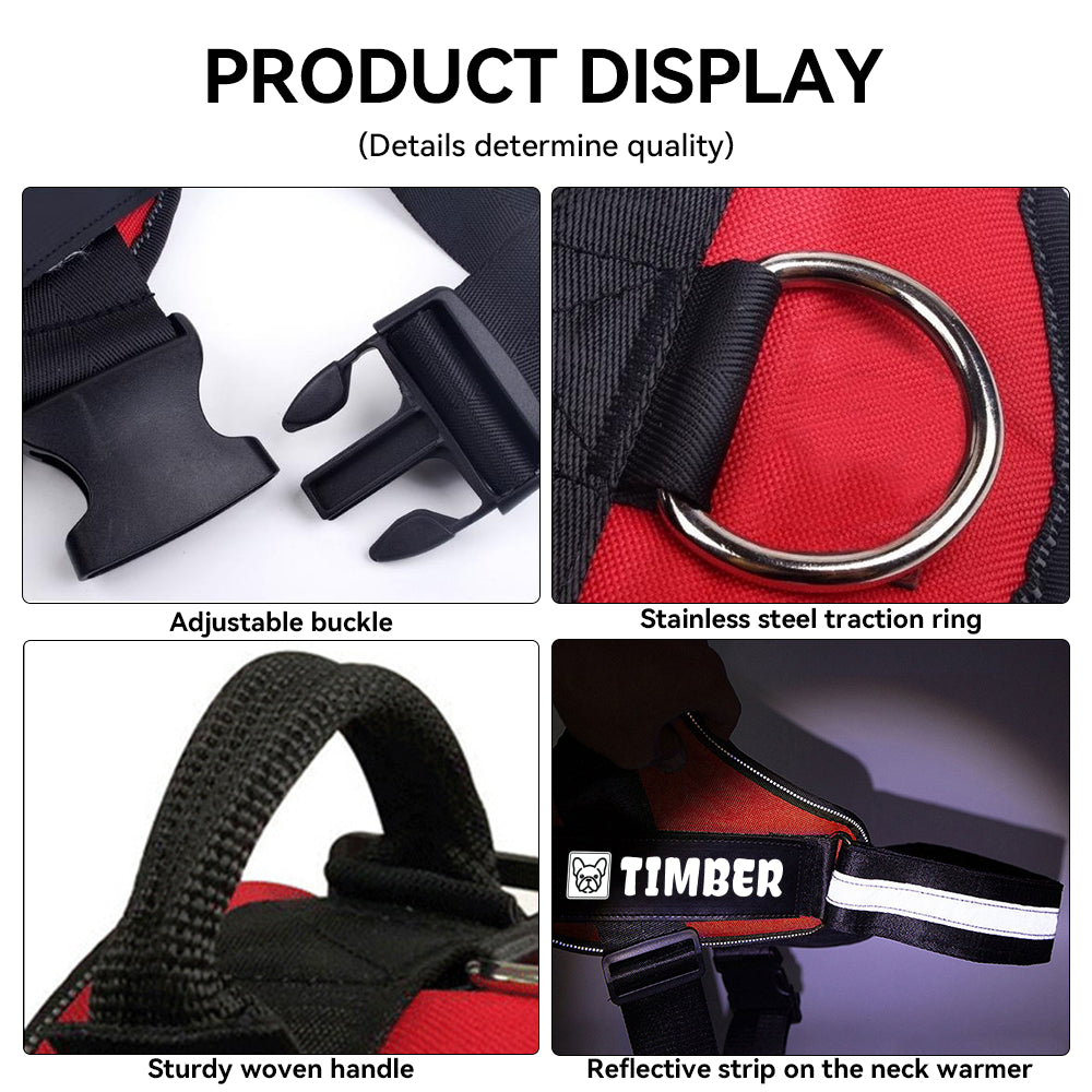 Henry - Breed-specific Personalized French Bulldog Harness Indoor Use