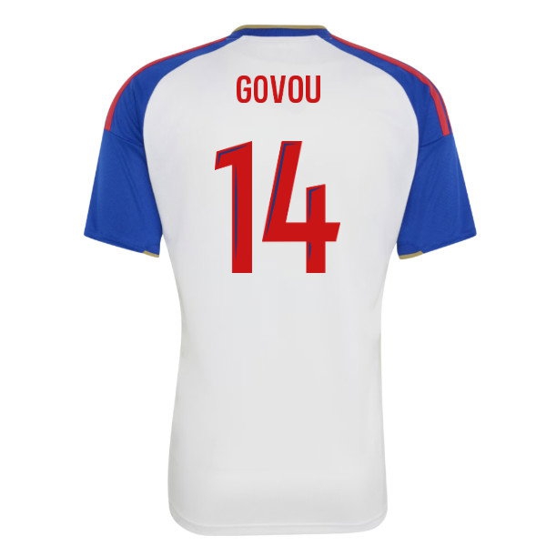 [DDJ] 2026 2027 Olympique Lyon Shirt Home Kit (Govou 14)