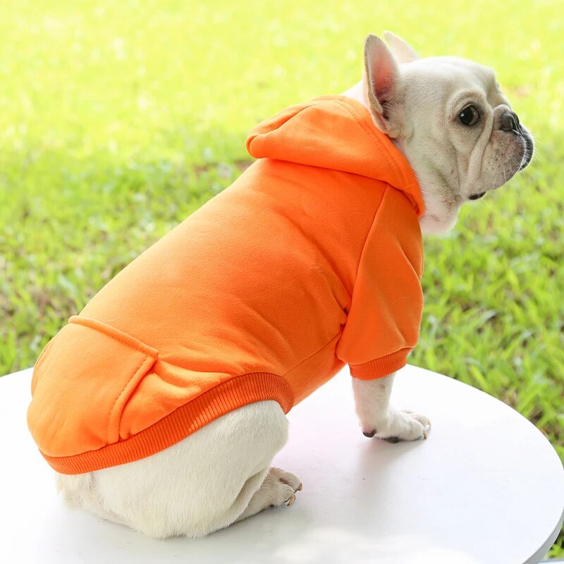 - Everyday French Bulldog Sweater Sports Style Pet Clothes Outdoor Style