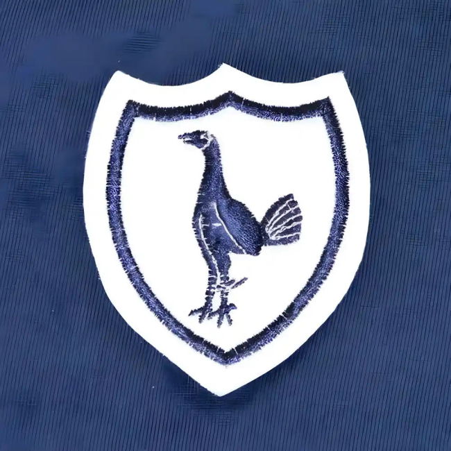 Tottenham Stylish Away Jersey Tottenham