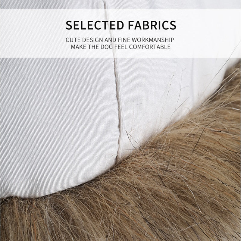 Trendy Winter Clothes for French Bulldog (WS390)