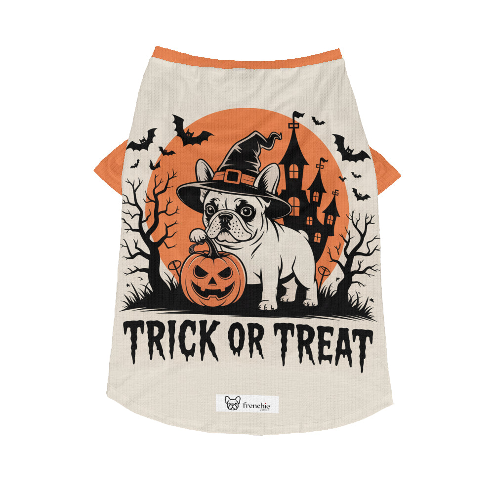 High-Quality Laura - Wool Sweater For Frenchies for French Premium