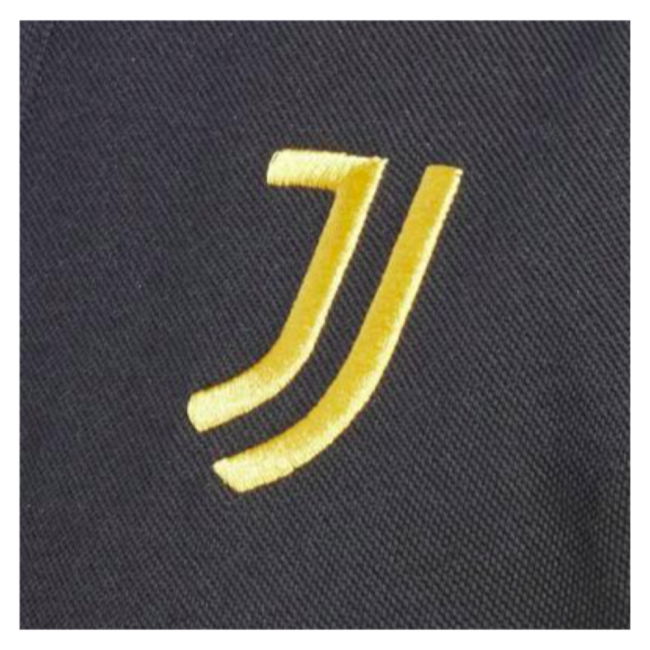 Juventus Modern Jersey 2023-2024 #20