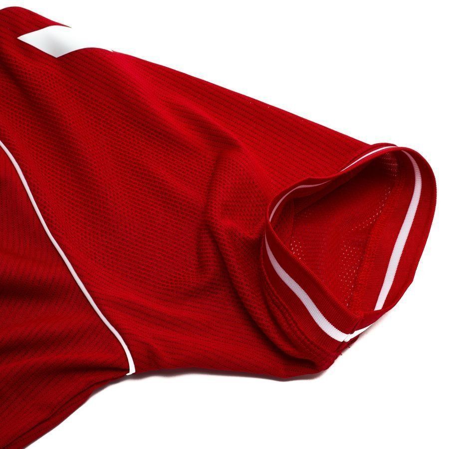 Denmark Home Shirt 2026/27 Pro Player Edition DORGU 17