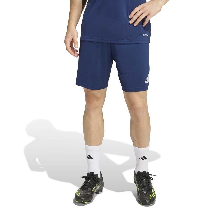Strømsgodset Toppfotball adidas Treningsshorts Entrada 26 - Team Navy/White