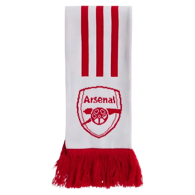 ARS 2025-20 budget-friendly Third Jersey - Adults | premium quality