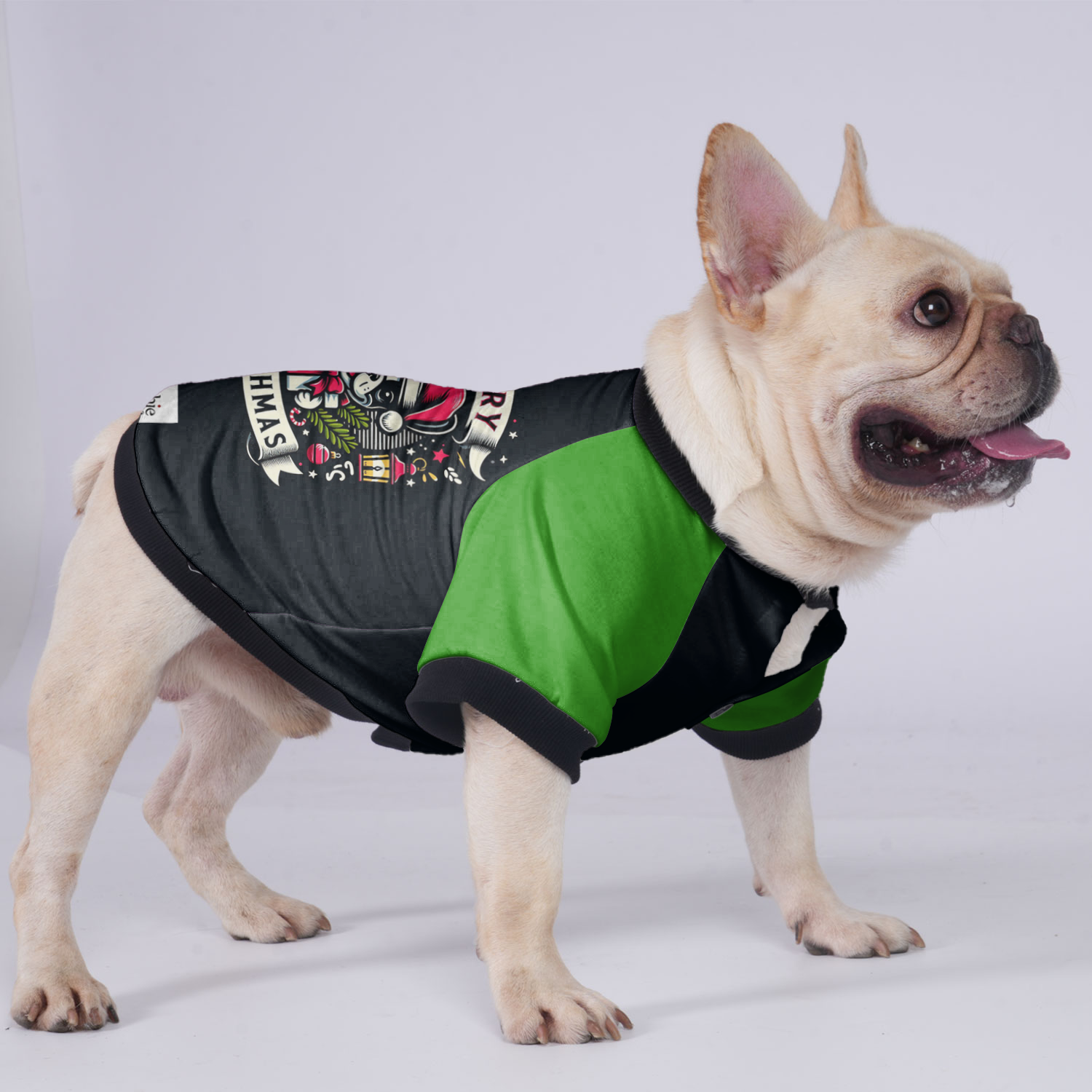 Bailey - Bulldog Jacket For French Bulldog Winter Wear | Safe For Paws