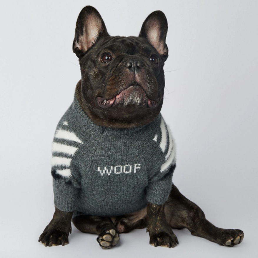 - Trendy Frenchie Woof Winter Sweater V1 Indoor Comfort | Comfy Fit