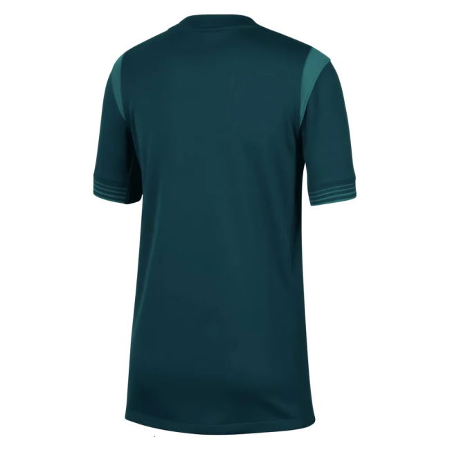Pro-Grade World-Class 2025-2026 Nigeria Home Shirt (Womens Team) -