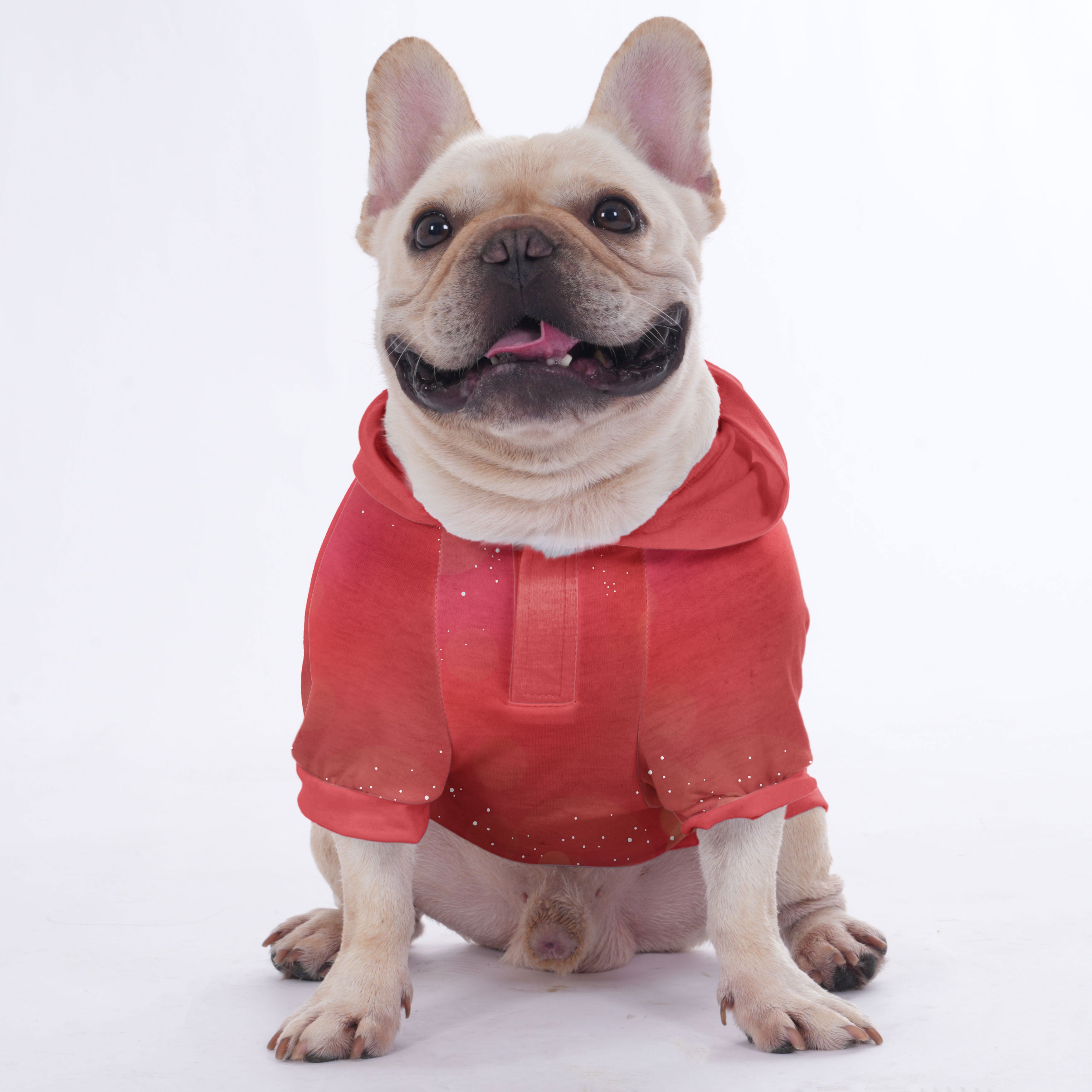 Bulldog | Frenchie Shop Original Frenchie Themed Wear | Durable Build