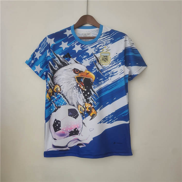Authentic Argentina 2022 Commemroative Edition Soccer Jersey Football
