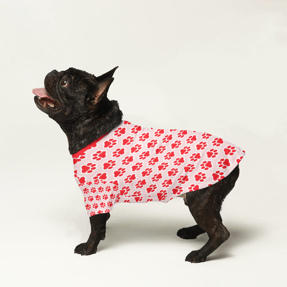 French Bulldog Dex Wool Sweater For Frenchies Soft Frenchie Apparel