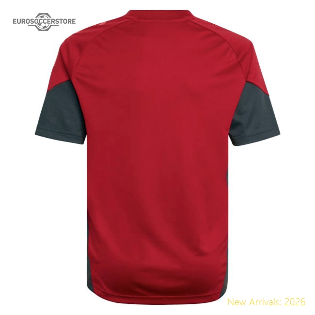 2025-2026 English Premier League Liverpool Training Authentic Jersey