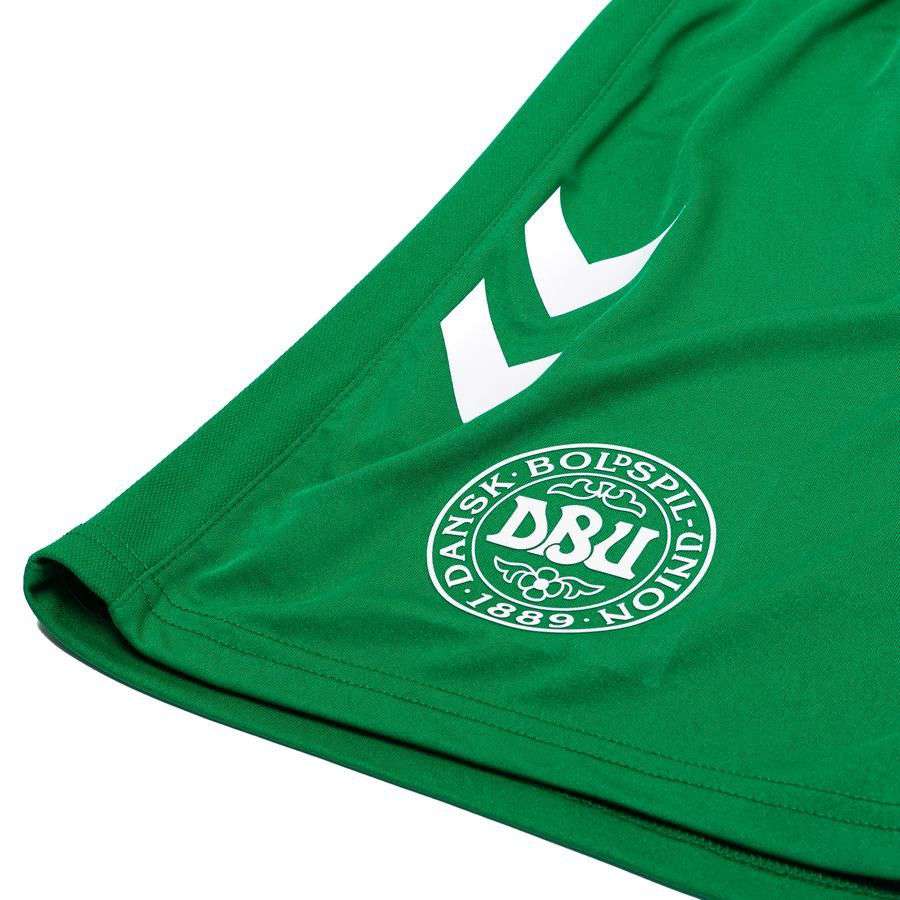 Denmark Goalkeeper Shorts 2024/25