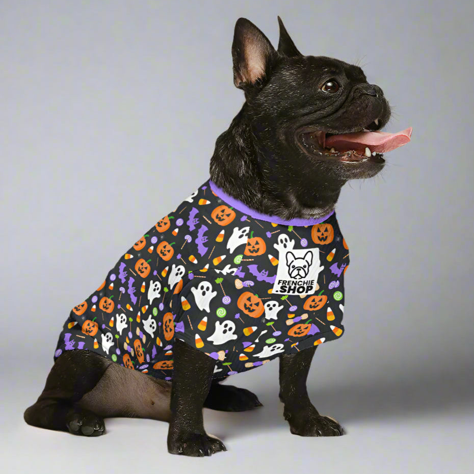 Zuma - Wool Sweater for Frenchies