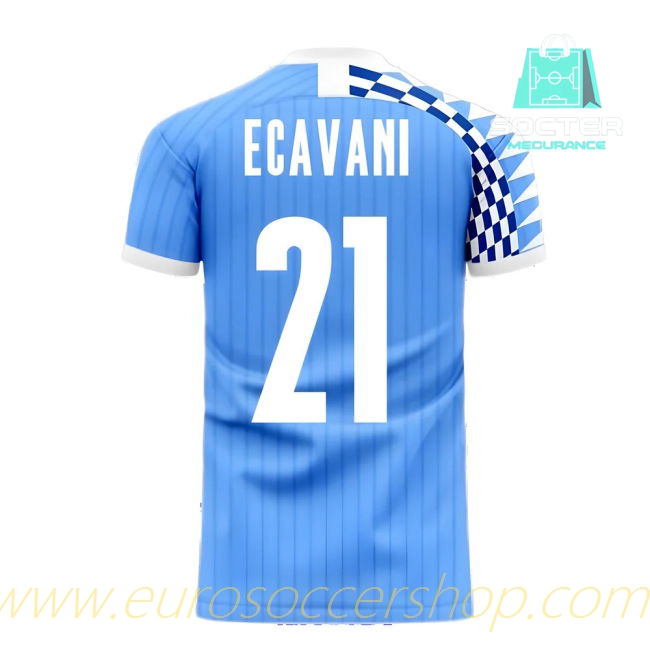 2025-2026 Season Uruguay Player Version Home Jersey Concept Edition (E CAVANI 21)