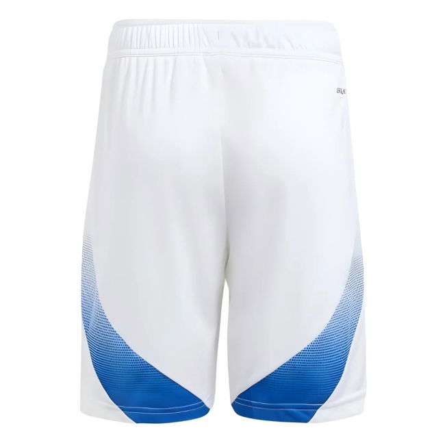 Italy Limited Edition Home Jersey 2024-2025 #55