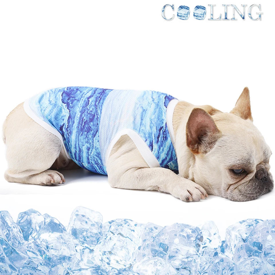 FrostyPet Frenchie Summer Cooling Vest