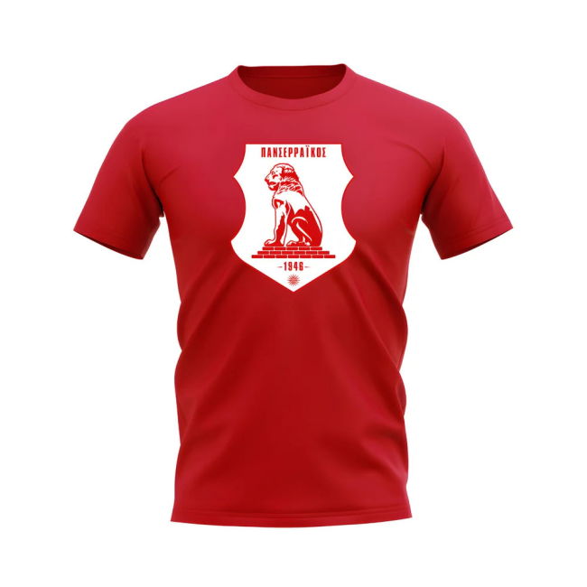 High Quality Football T-shirt Neymar Jr #10 Retro Collection Gre (v8)