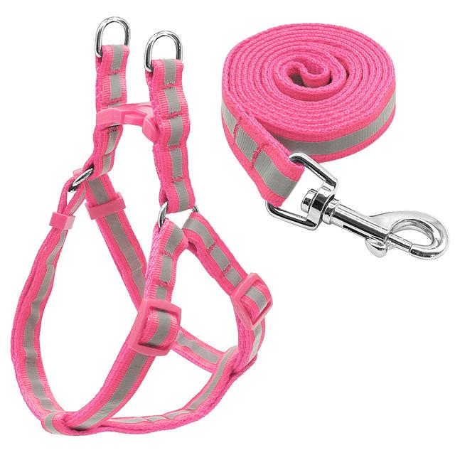 Airflow-Friendly Reflective Frenchie Harness And Leash Set (ws58) for...