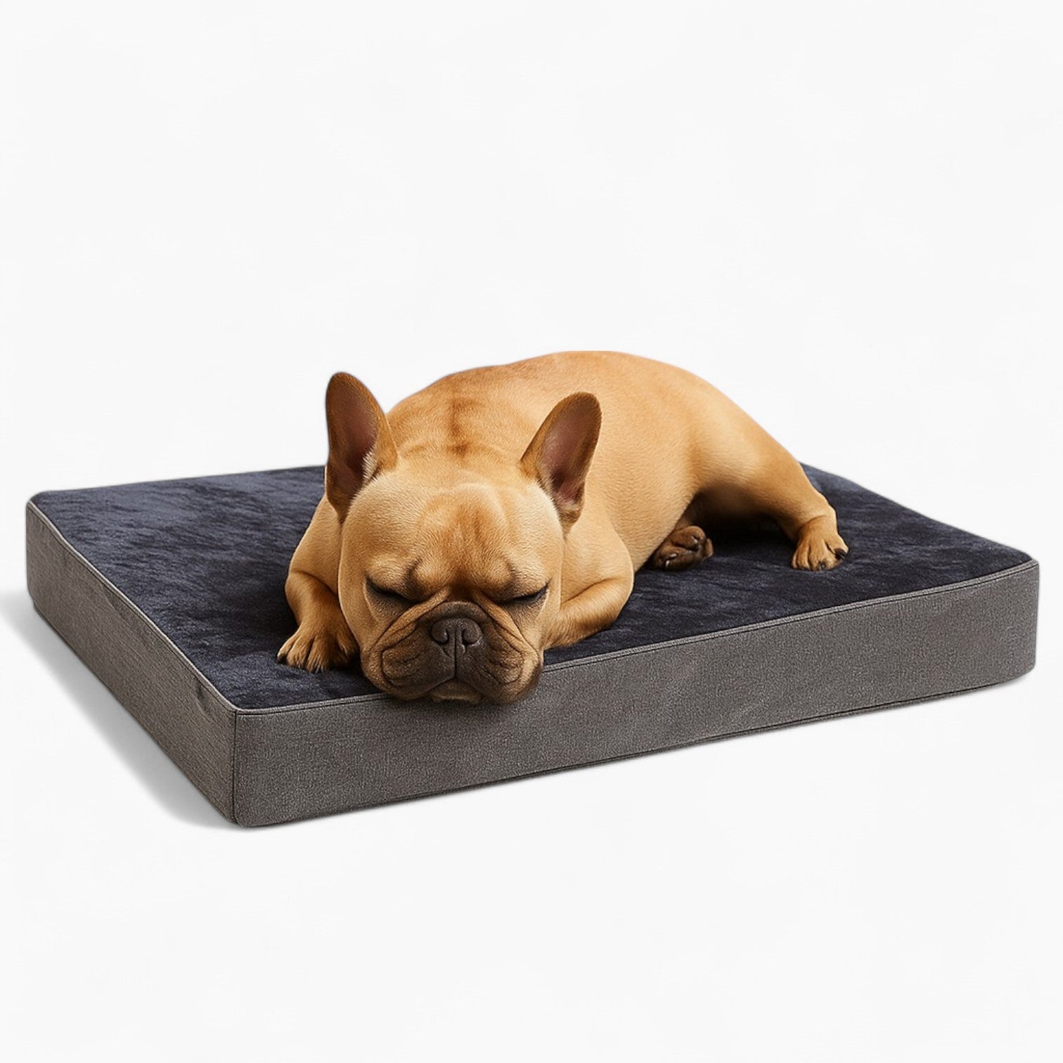 Pressure-Balanced Napnest French Bulldog Rectangular Bed Sofa – Ortho...
