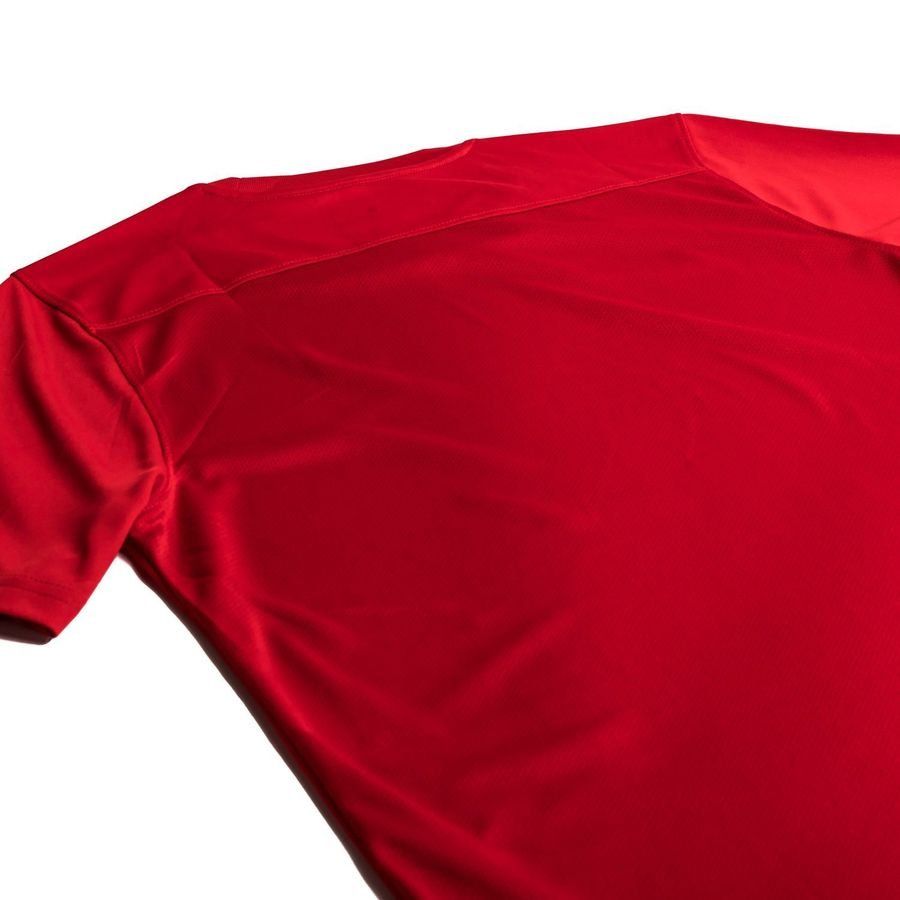 Norway Nike Training T Shirt Red Kids Supporter Version