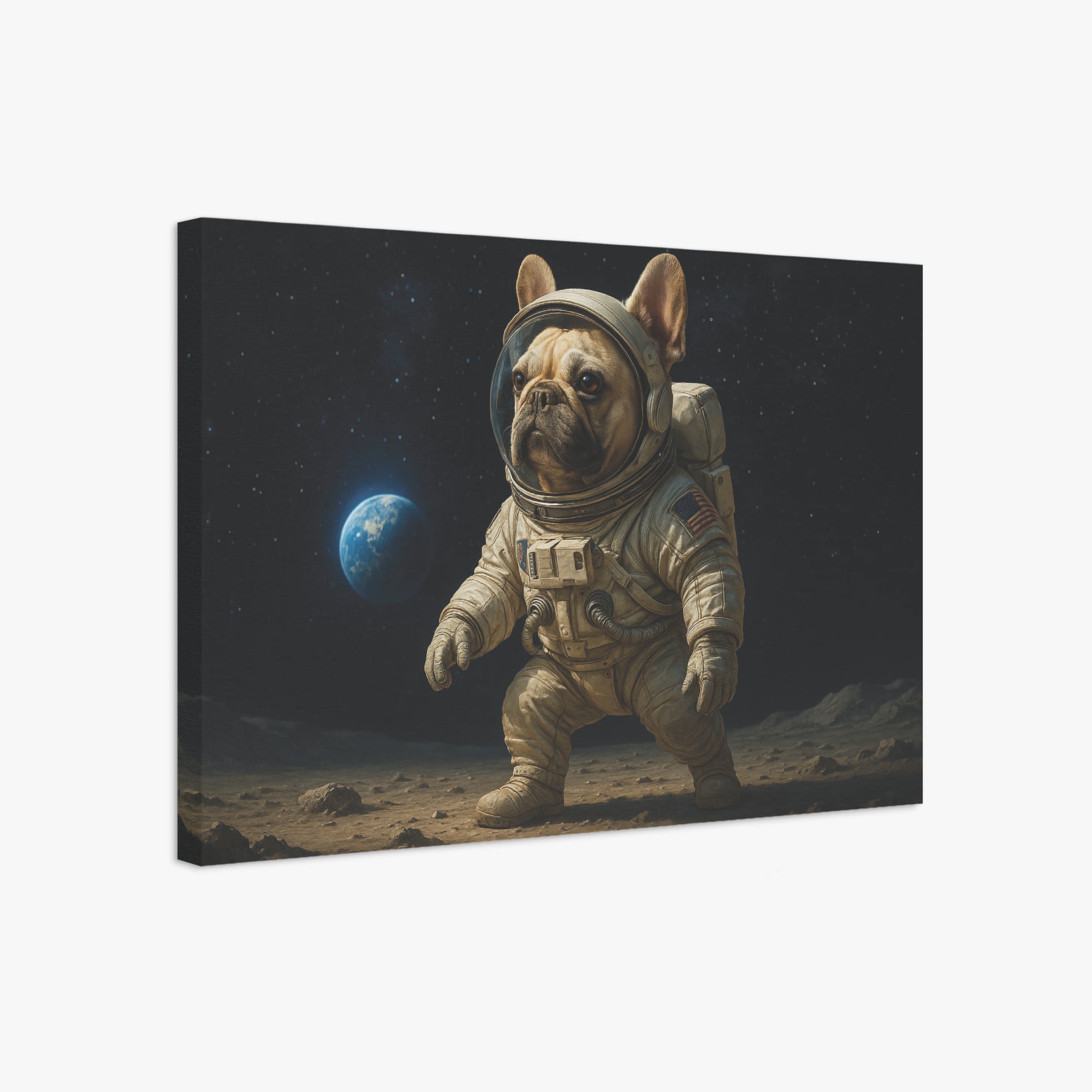 - Dog Owner Adorable Frenchie Canvas Wall Art Outdoor Style | Comfy Fit