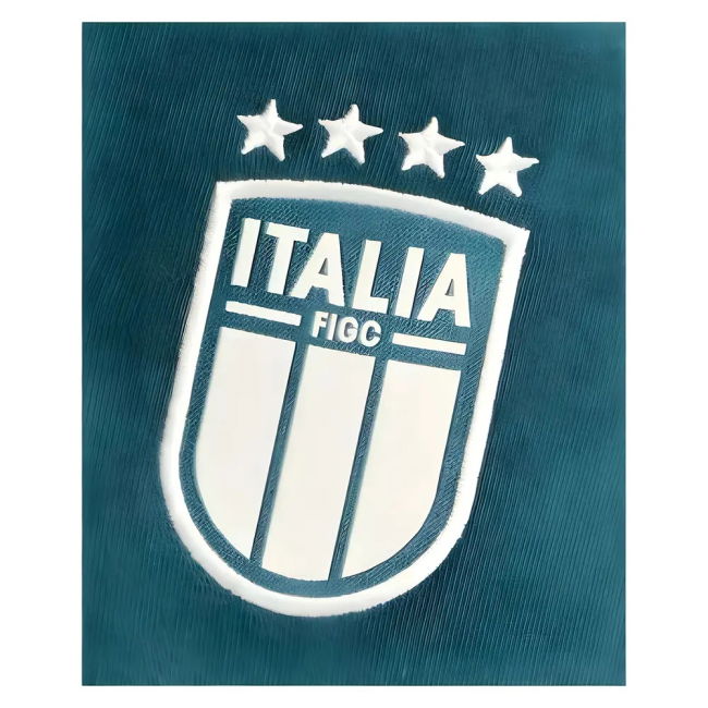 Match Worn Style Italy Professional Look Home Professional Jersey (1)