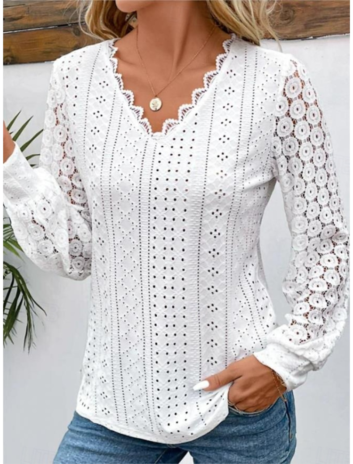 Women's Elegant Lace Tops Eyelet Blouse Stylish Modern Hollow Out Long Sleeve Regular Tops V Neck Work Daily Romantic Petite Tops Summer Holiday Wear Spring Fall
