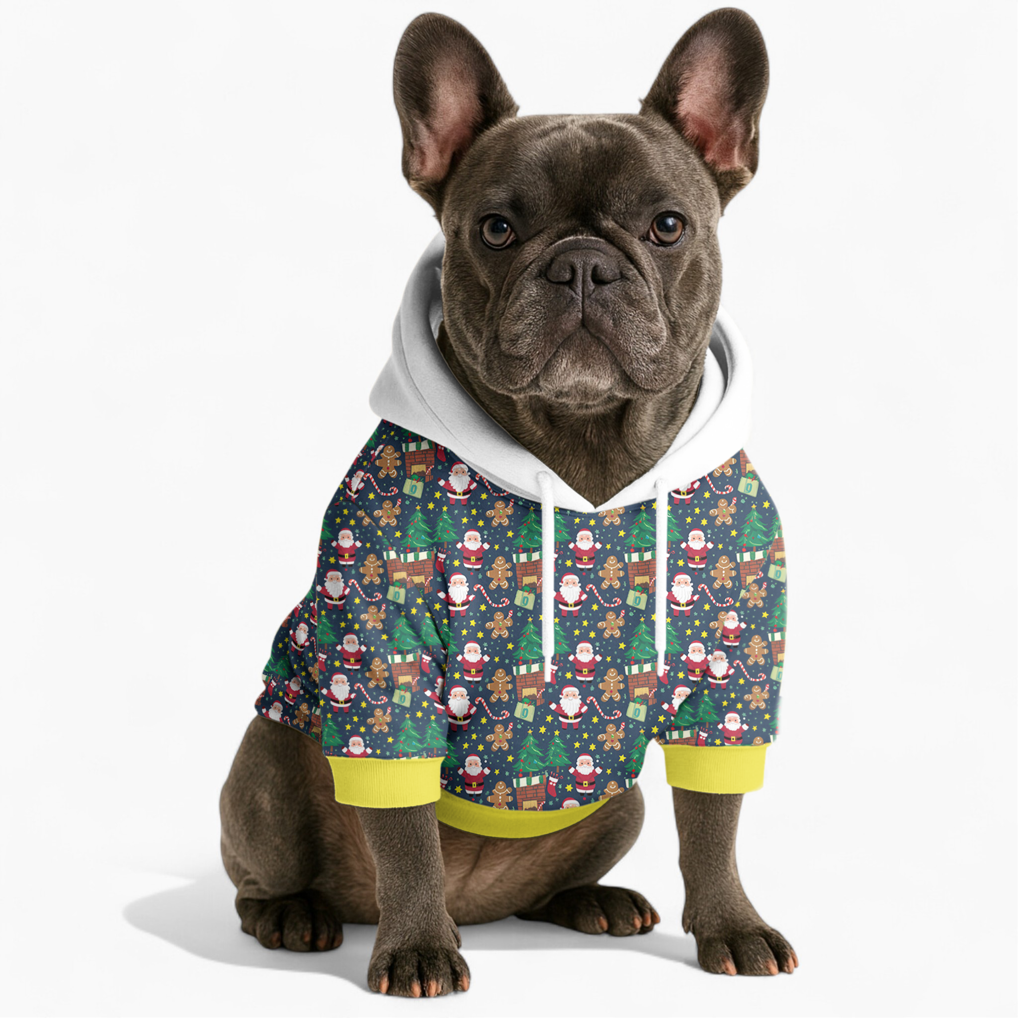 French Bulldog Chris Frenchie Hoodie Useful Frenchie Gear
