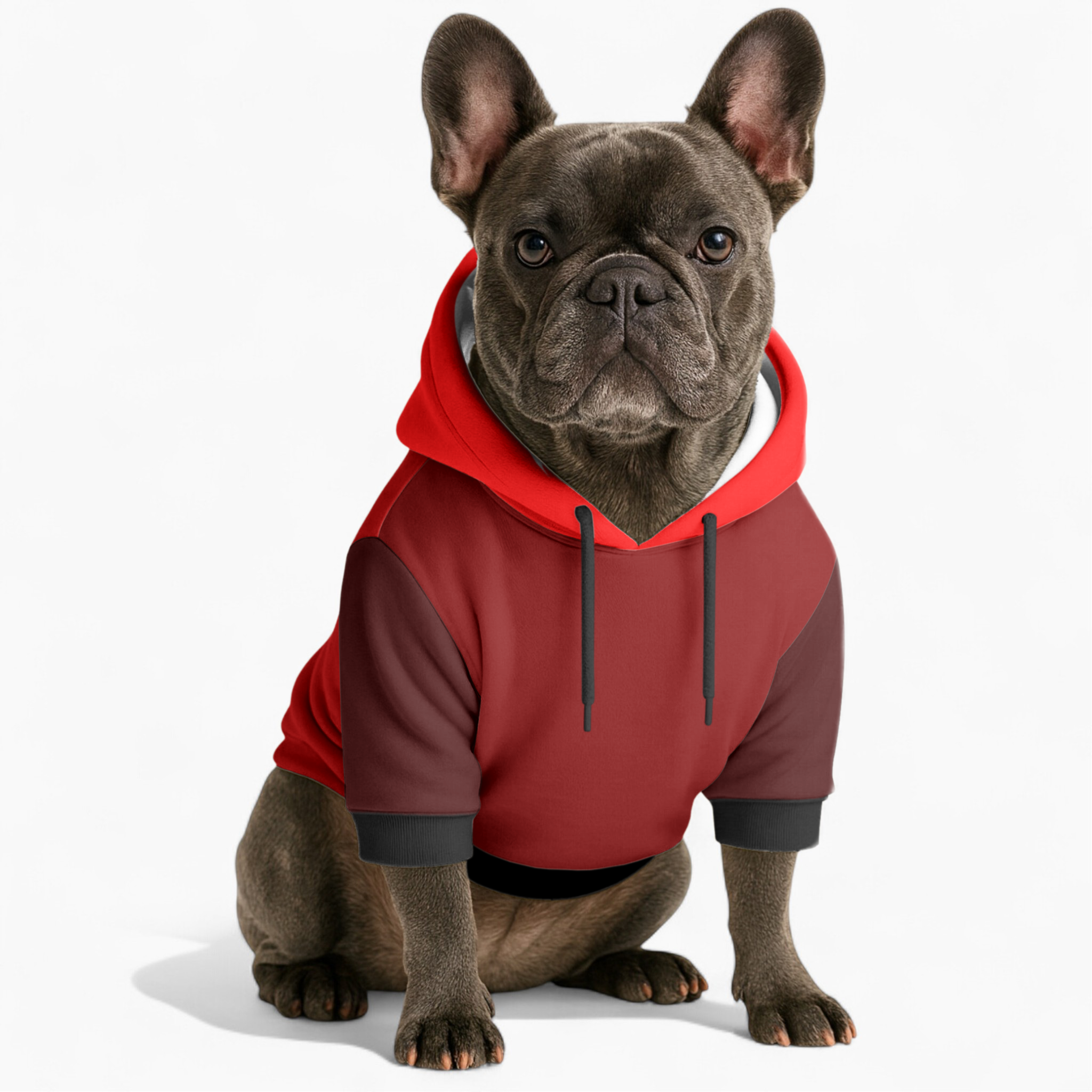 Lifestyle-Driven Cozy Comfortable Kobe - Frenchie Hoodie for Home Use