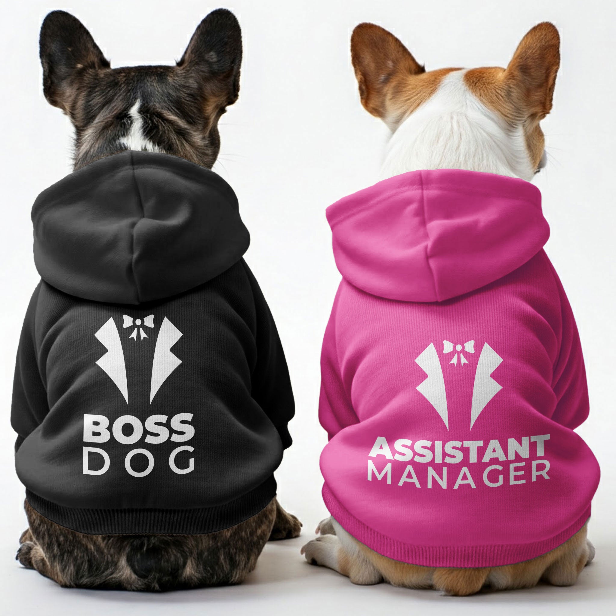 French Bulldog Boss Dog And Assistant Manager Matching French Bulldog