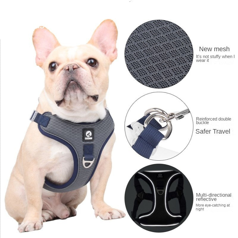 Frenchiekit™ - Warm Adjustable Frenchie Harness Leash Set Pet Gear