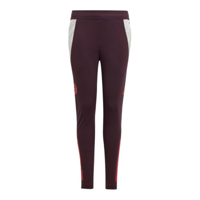 Official Bayern Munich (bayern) 2024-2025 Kids - Team Spirit